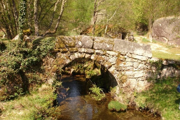 Foto 107 da atividade Galeria de Fotos