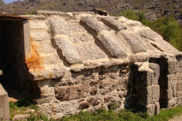 Foto 64 da atividade Galeria de Fotos