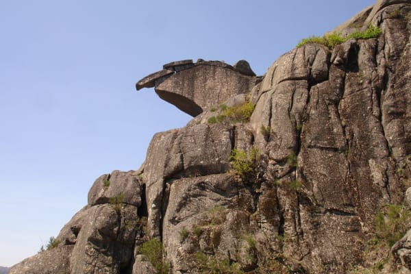 Foto 48 da atividade Galeria de Fotos