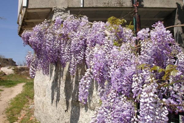 Foto 44 da atividade Galeria de Fotos