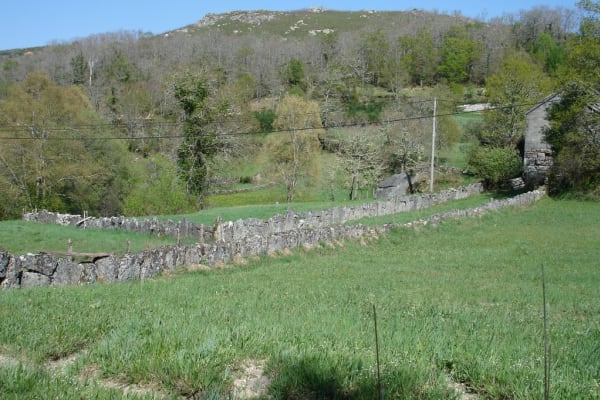 Foto 42 da atividade Galeria de Fotos