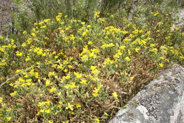 Foto 37 da atividade Galeria de Fotos