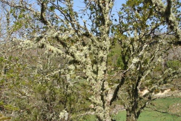 Foto 22 da atividade Galeria de Fotos