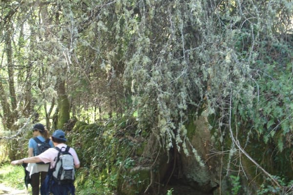 Foto 14 da atividade Galeria de Fotos