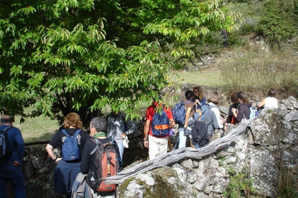 Foto 60 da atividade Galeria de Fotos