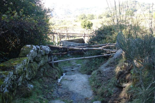 Foto 42 da atividade Galeria de Fotos