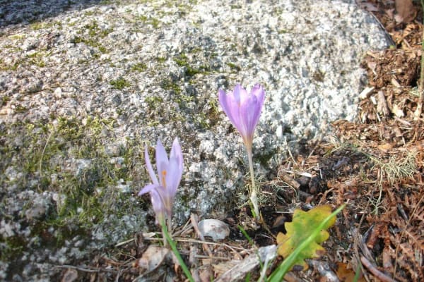 Foto 43 da atividade Galeria de Fotos