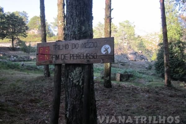 Foto 39 da atividade Galeria de Fotos