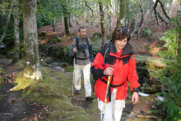 Foto 38 da atividade Galeria de Fotos