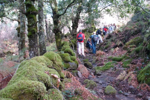 Foto 15 da atividade Galeria de Fotos