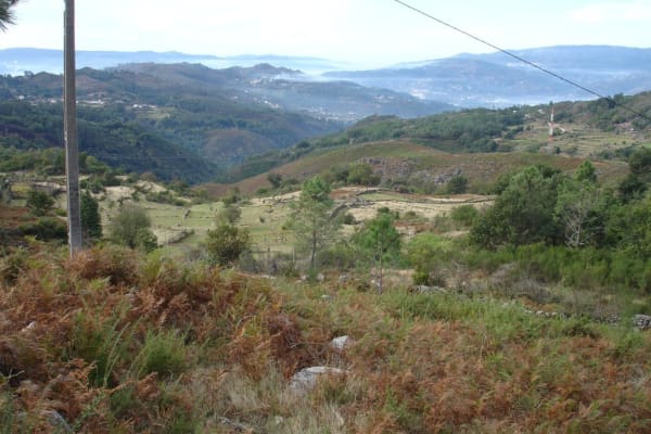 Foto 8 da atividade Galeria de Fotos