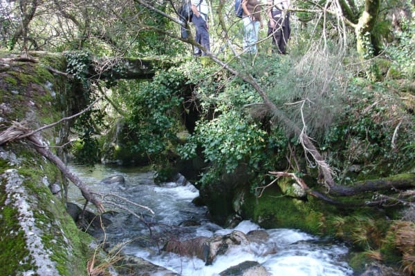 Foto 2 da atividade Galeria de Fotos