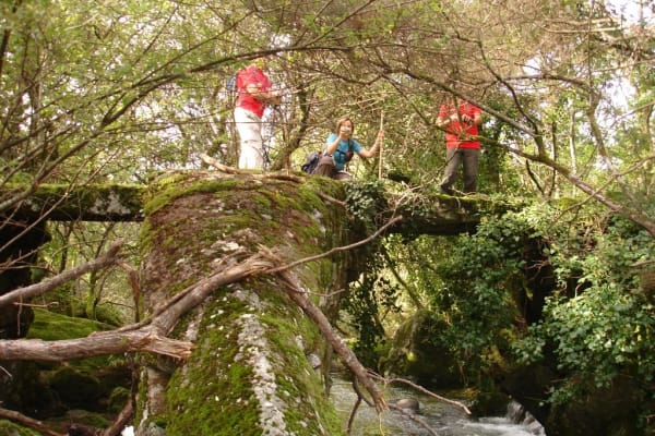 Foto 4 da atividade Galeria de Fotos