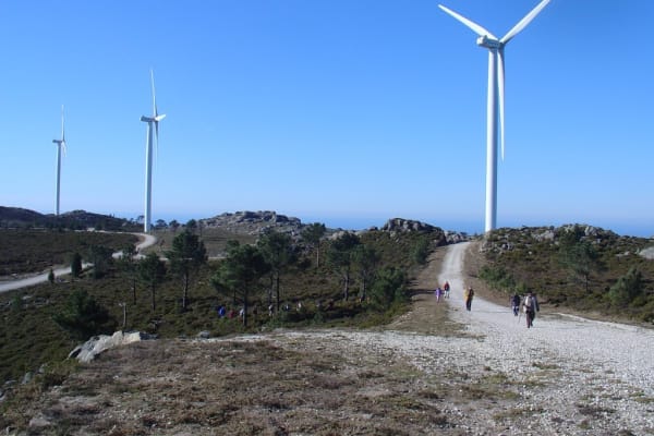 Foto 72 da atividade Galeria de Fotos