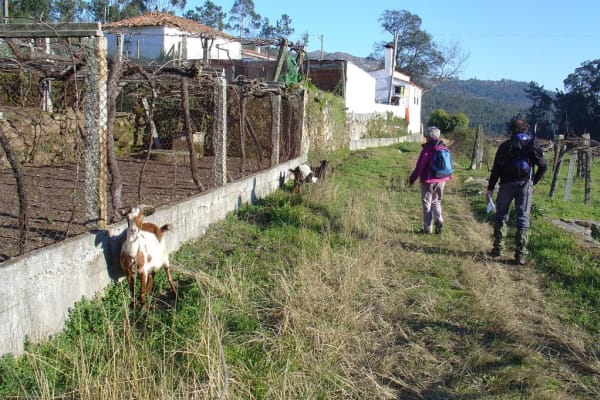 Foto 37 da atividade Galeria de Fotos