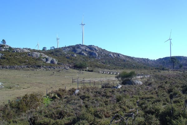 Foto 27 da atividade Galeria de Fotos