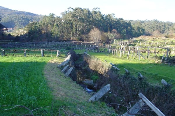 Foto 21 da atividade Galeria de Fotos