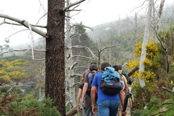 Foto 114 da atividade Galeria de Fotos