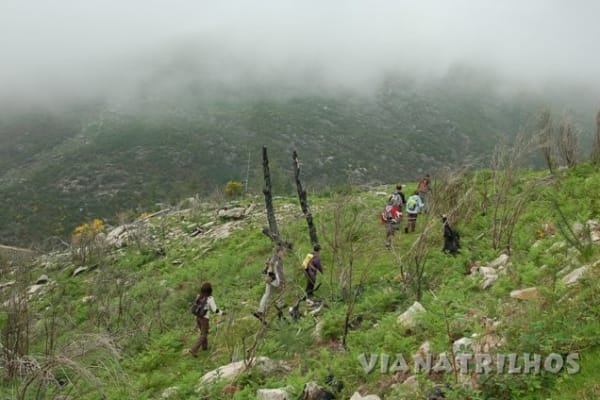 Foto 109 da atividade Galeria de Fotos