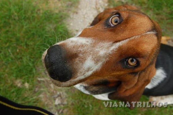 Foto 104 da atividade Galeria de Fotos