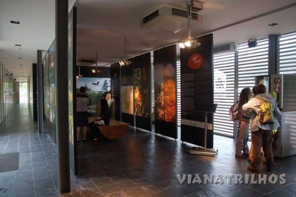 Foto 93 da atividade Galeria de Fotos