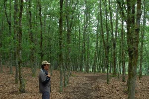 Foto 92 da atividade Galeria de Fotos