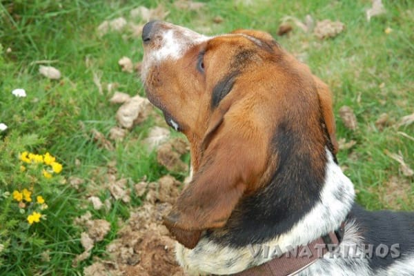 Foto 80 da atividade Galeria de Fotos