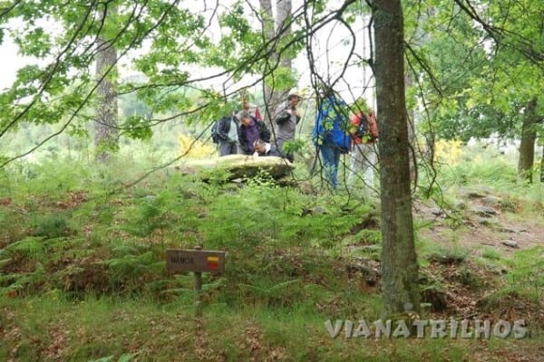 Foto 76 da atividade Galeria de Fotos