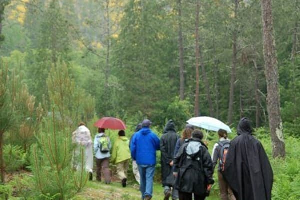 Foto 73 da atividade Galeria de Fotos