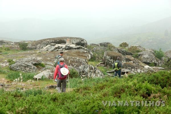 Foto 67 da atividade Galeria de Fotos