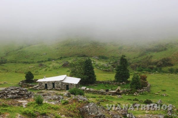 Foto 45 da atividade Galeria de Fotos