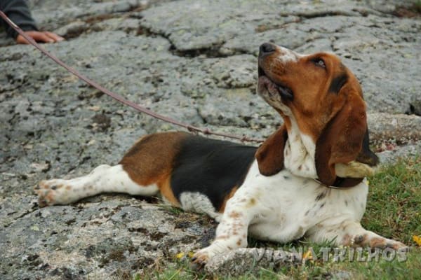 Foto 33 da atividade Galeria de Fotos