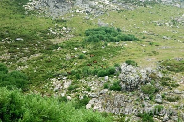 Foto 29 da atividade Galeria de Fotos