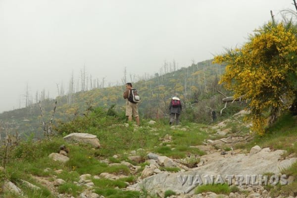 Foto 16 da atividade Galeria de Fotos