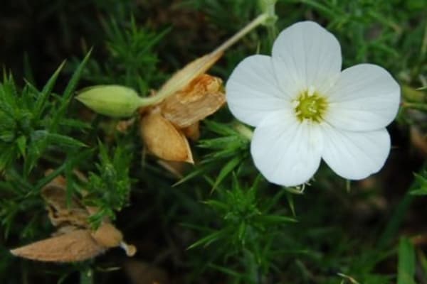 Foto 18 da atividade Galeria de Fotos