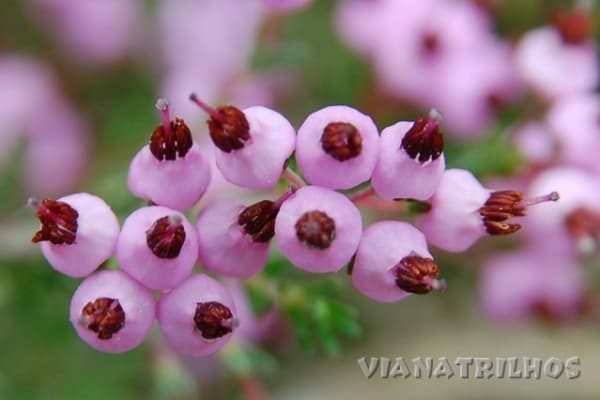 Foto 15 da atividade Galeria de Fotos