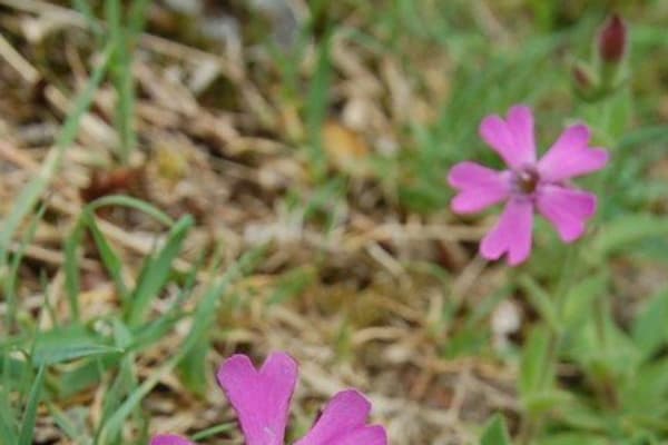 Foto 14 da atividade Galeria de Fotos