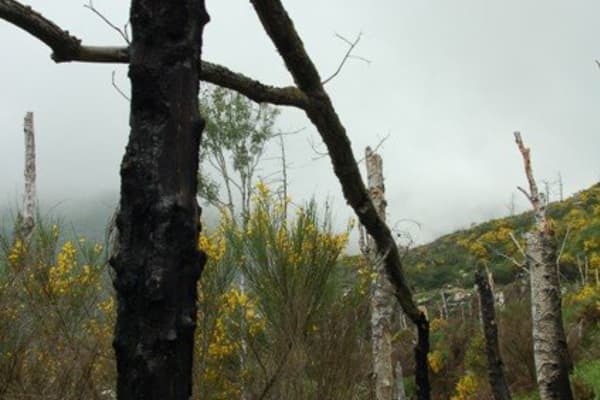 Foto 7 da atividade Galeria de Fotos