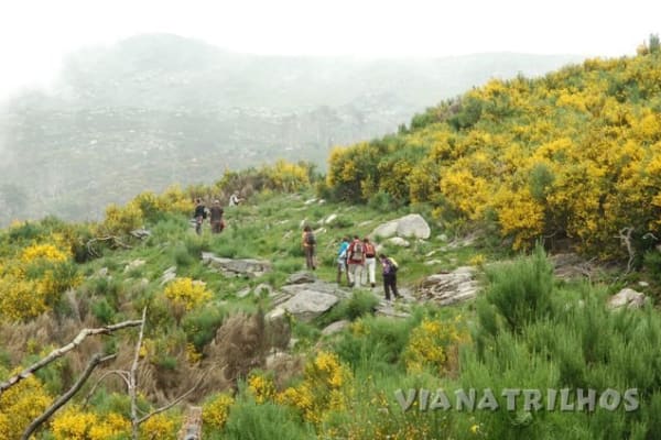 Foto 9 da atividade Galeria de Fotos