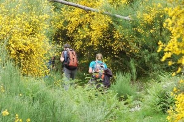 Foto 5 da atividade Galeria de Fotos