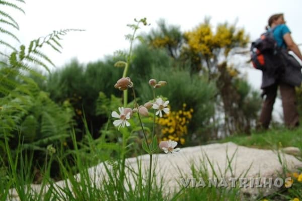 Foto 3 da atividade Galeria de Fotos