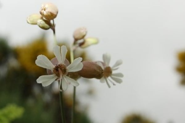 Foto 2 da atividade Galeria de Fotos