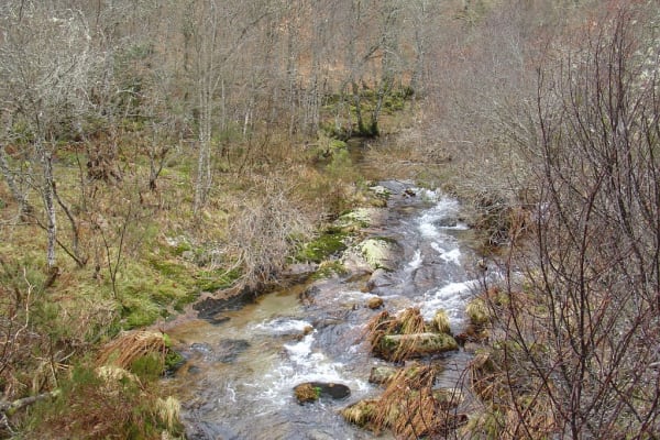 Foto 155 da atividade Galeria de Fotos