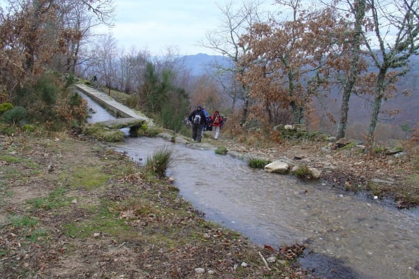 Foto 153 da atividade Galeria de Fotos