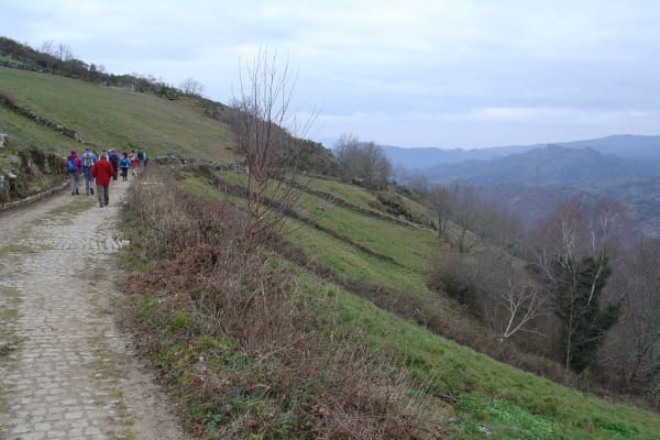 Foto 137 da atividade Galeria de Fotos