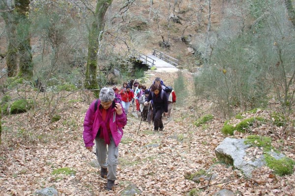 Foto 128 da atividade Galeria de Fotos