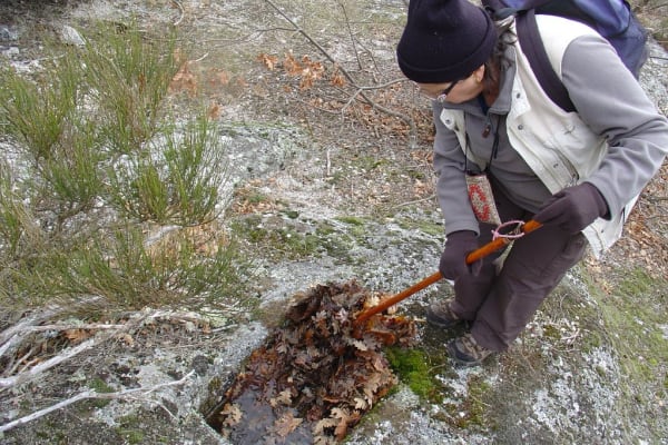 Foto 118 da atividade Galeria de Fotos