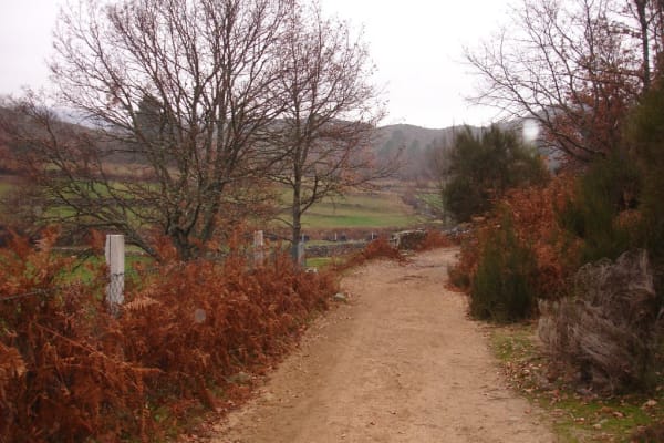 Foto 104 da atividade Galeria de Fotos