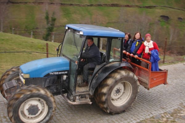 Foto 105 da atividade Galeria de Fotos