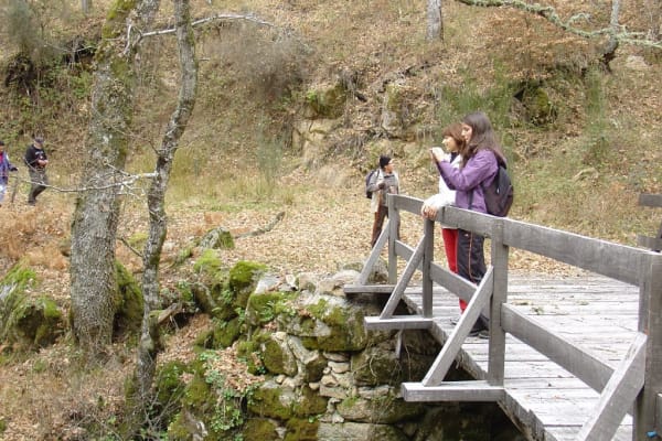 Foto 84 da atividade Galeria de Fotos